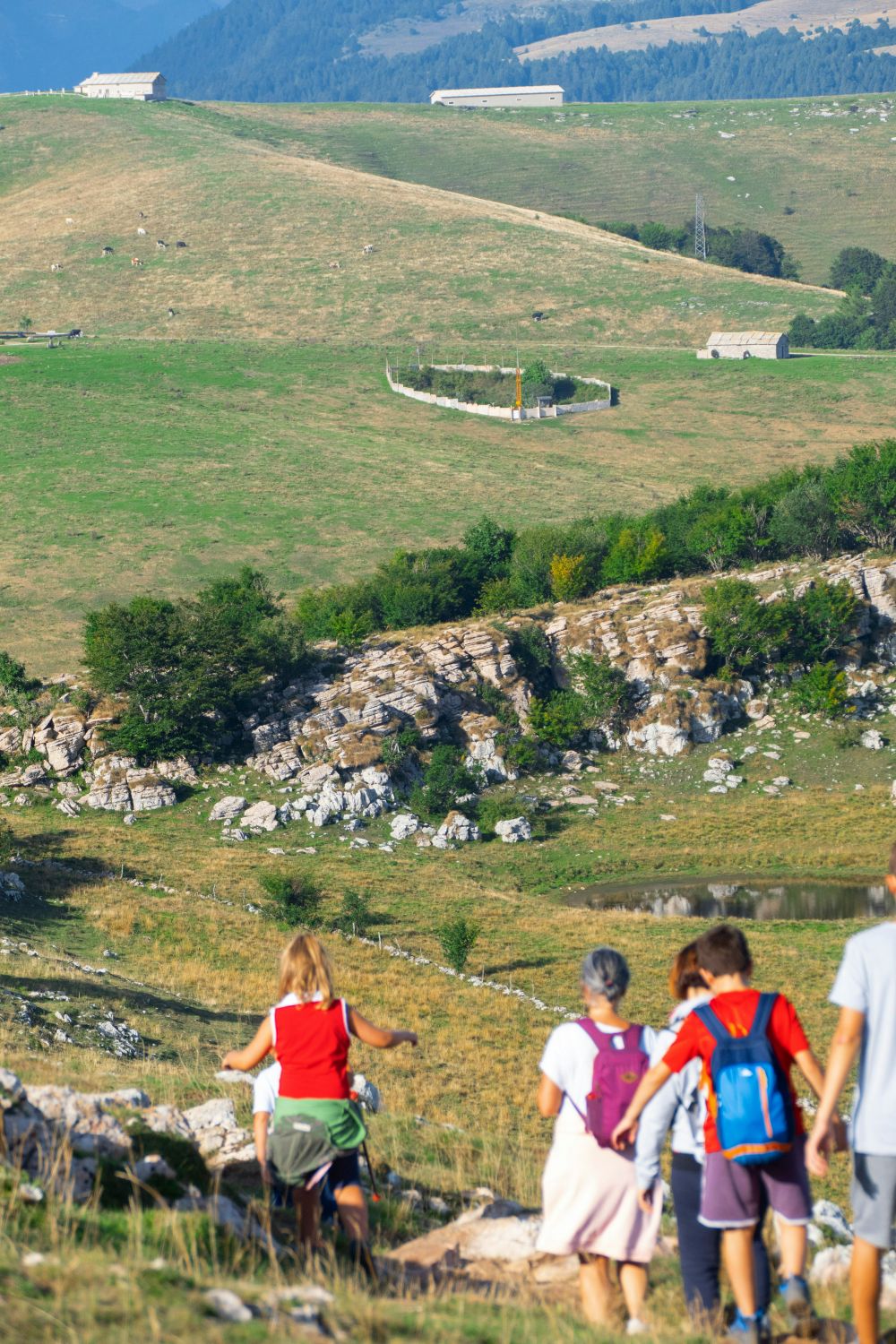 Tjäna pengar till klassen: Toapapper och andra smarta idéer